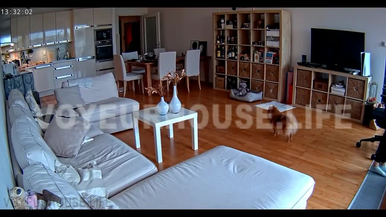 New videos from RealLifeCams.net - Amateurs, hidden cam, RealLifeCam,  Voyeur-House - Page 40