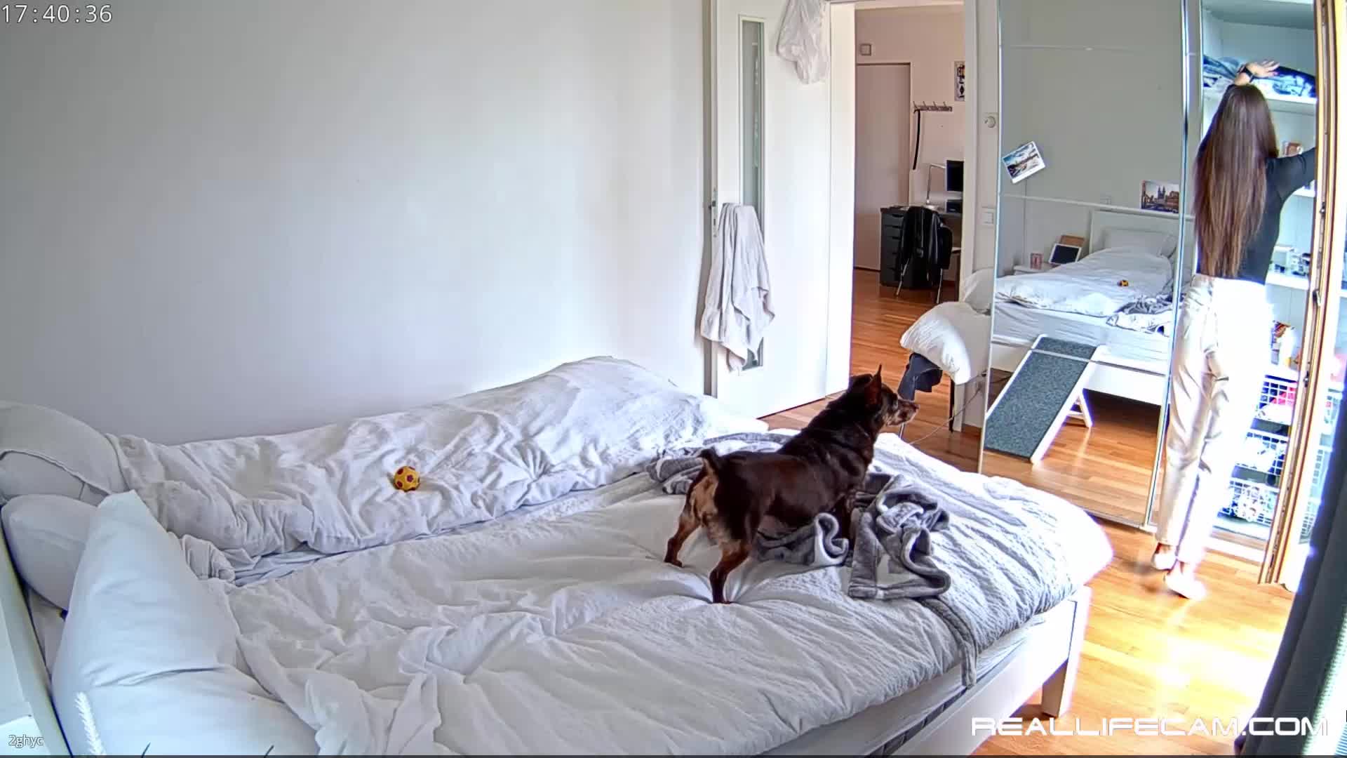 Reallifecam - Leora just for her Fans have Anal dildo bate on the floor in livingroom 30.08.20223